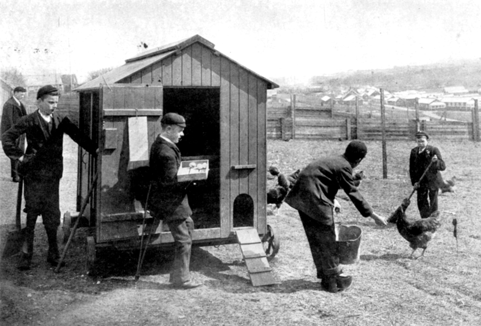 THE POULTRY FARM: POSTCARD FROM LORD MAYOR TRELOAR CRIPPLES HOME AND COLLEGE (C.1910)