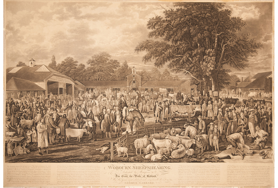‘WOBURN SHEEP SHEARING’ (1811)