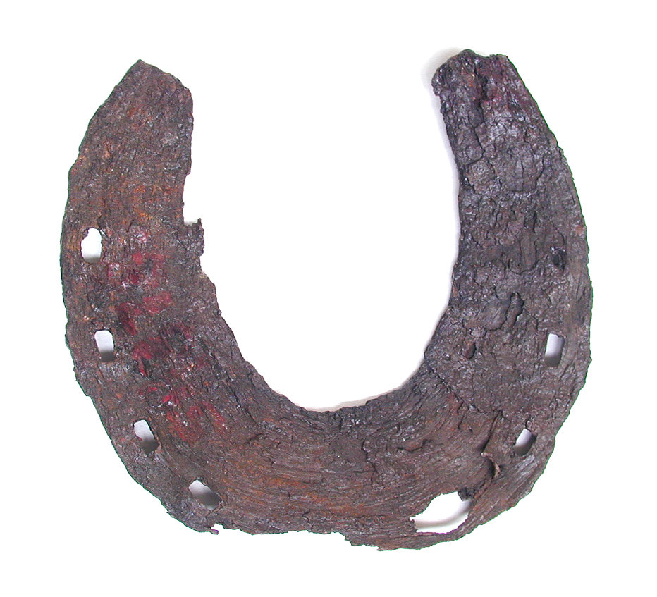 Horseshoe (object name) This horseshoe was dug up during drainage operations at Colville Hall in White Riding, Essex, and is of the type common in 1100-1550. The donor believed it to be an ox shoe but it is more likely to be that of a horse, as ox shoes tend to be made in two parts to allow for inter-movement of the two halves of the foot. Its small size suggests that it was probably worn by a riding horse rather than a farm horse.