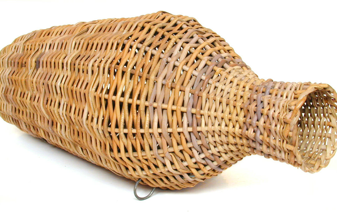 Trap, eel (object name) / Basketwork (object name) This eel trap, used for catching eels, was made by Stanley Bird of Great Yarmouth for the Museum. It is a Fenland eel trap made of cane, both round and split, with steel rings and galvanised wire. Because the pith has been removed from the cane, the trap is able to sink by itself without the need for weights. (MERL 63/606)