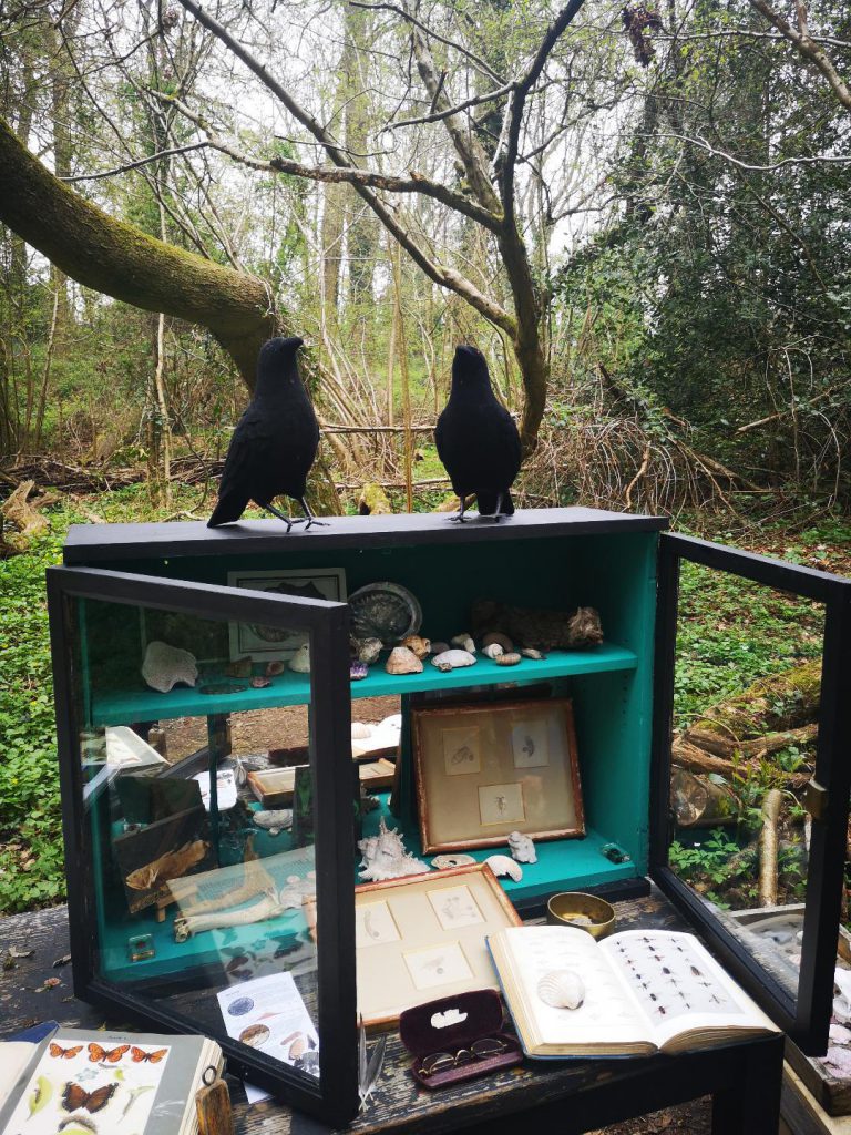 A Lost Museum woodlands curiosity case.
