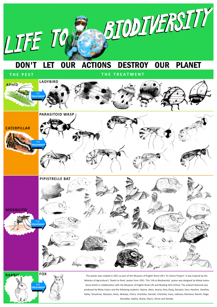 Life to Biodiversity poster by Maisy Inston