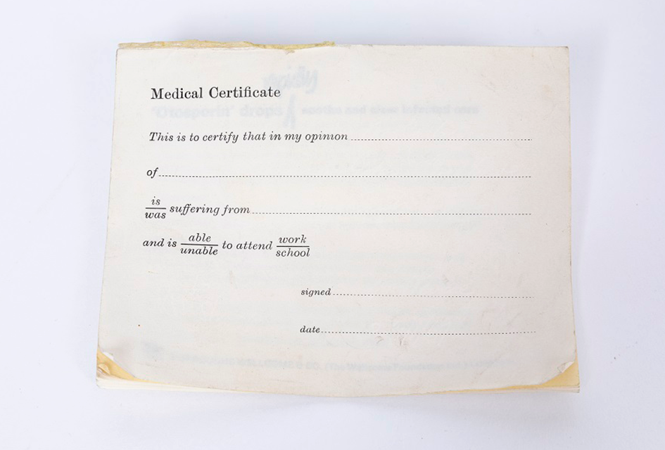 The 1918 Flu
