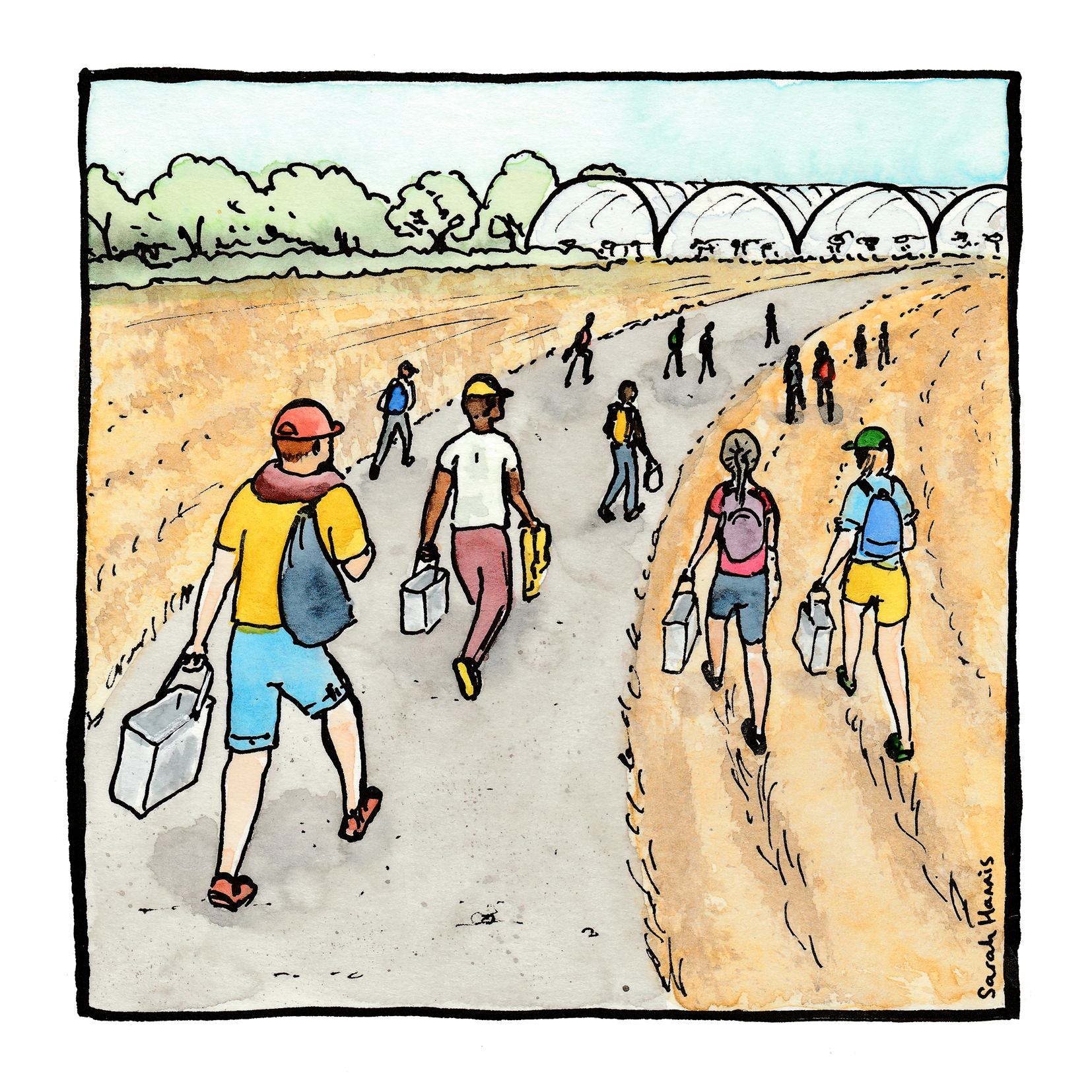 Entering the field