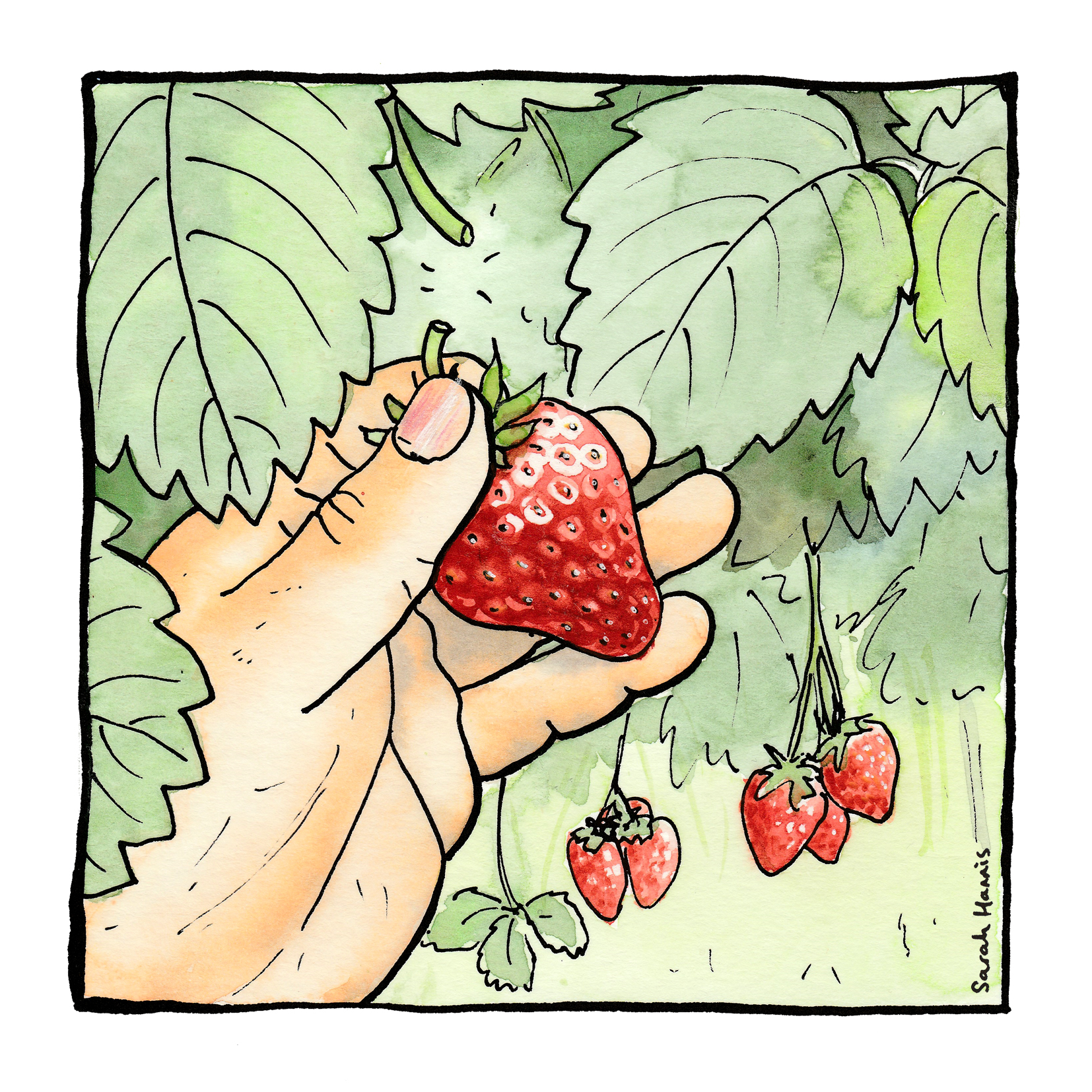 Picking