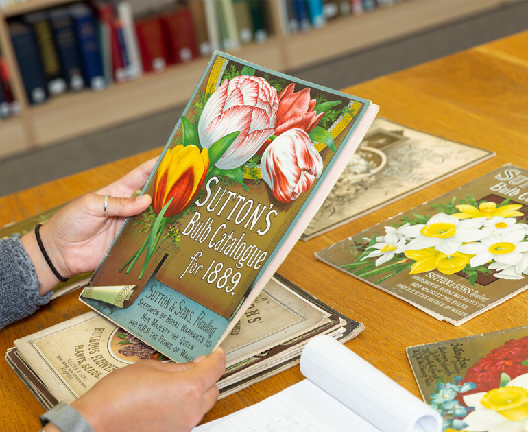 A researcher views Sutton's materials from our archive.