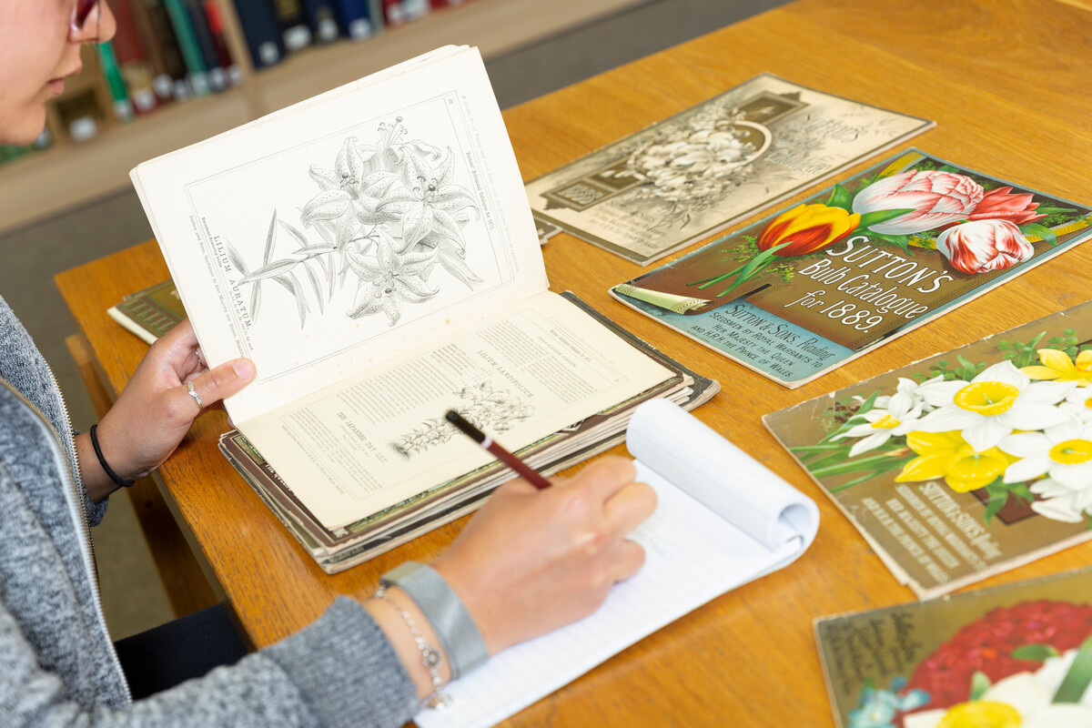 A researcher looking at archive materials from the Sutton's collection.