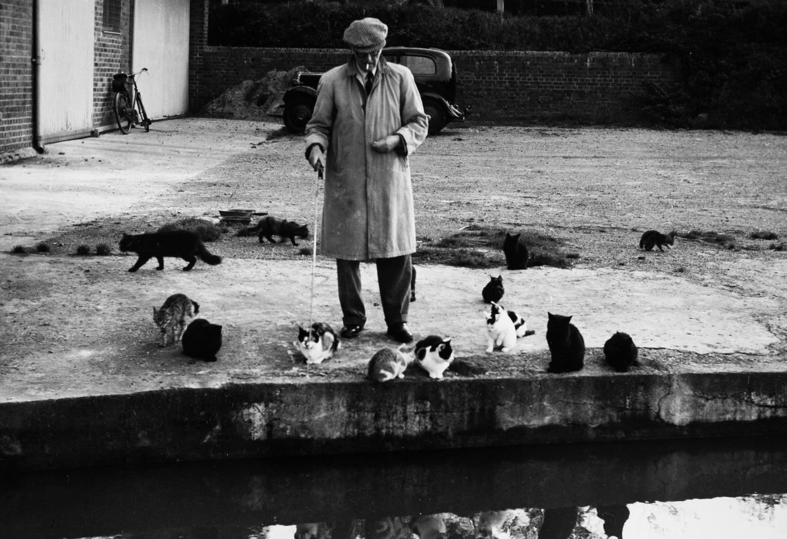 Black and white photo of a man fishing whilst surrounded by cats