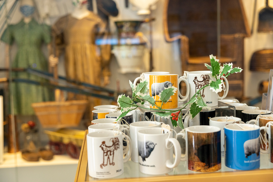 A selection of MERL products